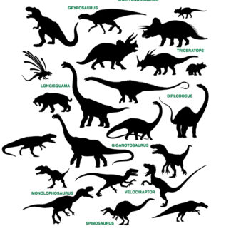 Dinosaur Silhouette Pack - 45 Incredible Vinyl Decal Stickers for Classrooms