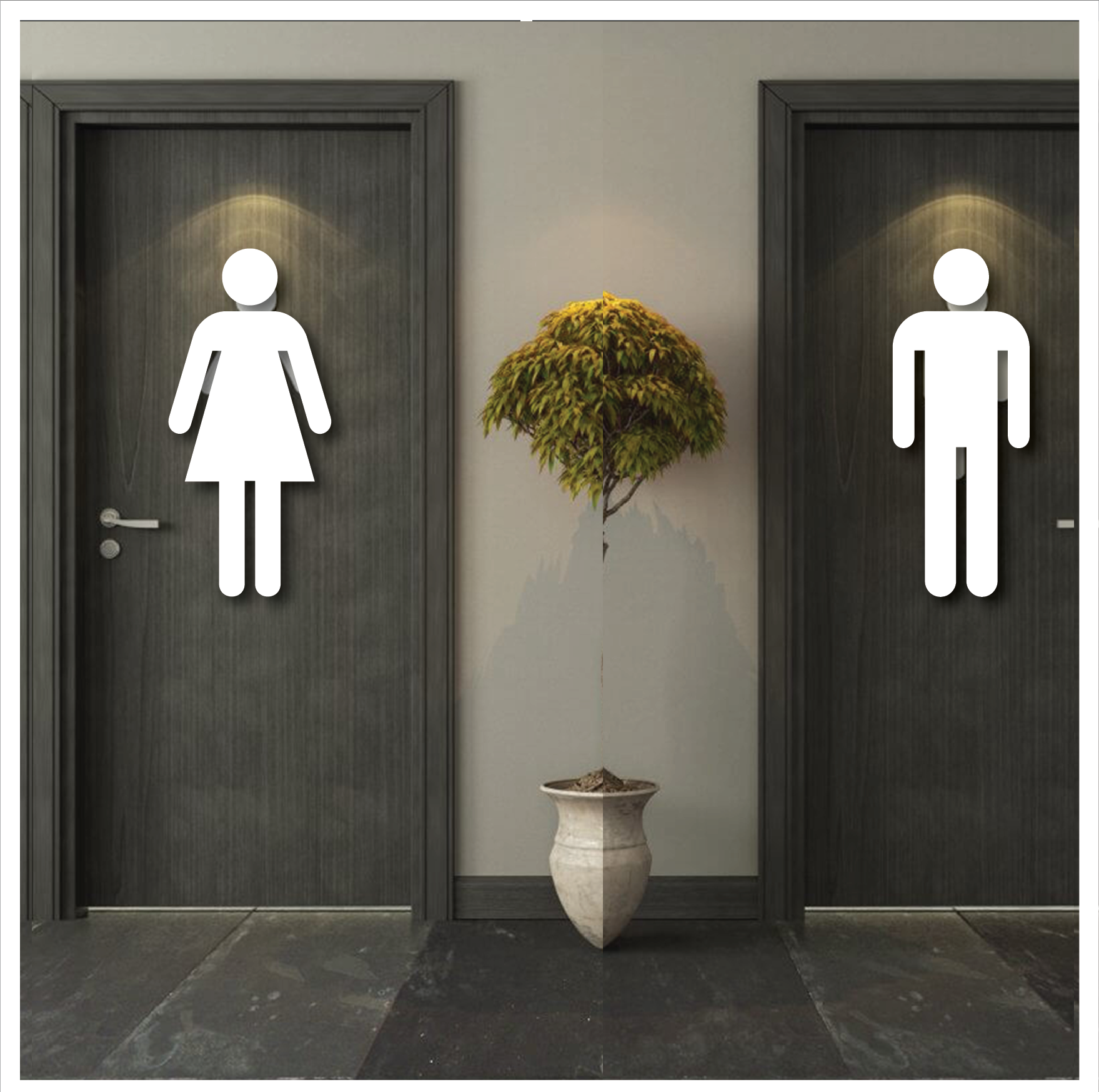 women toilet without using door